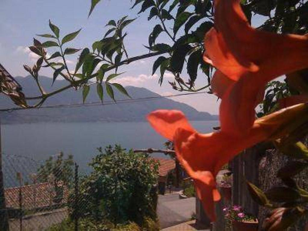 Home Sweet Home Lakeview ออกเจบบิโอ ภายนอก รูปภาพ